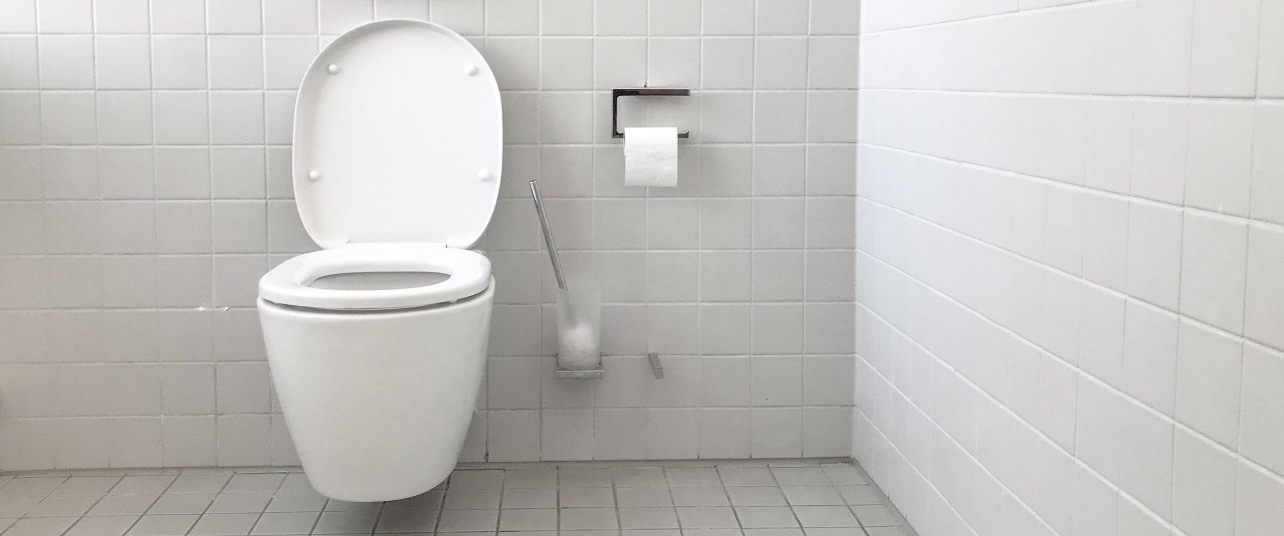 Read more about the article OhSo Soft Bathroom Tissue is Septic Safe and Much More