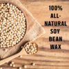 Soy Wax Candles made from US-grown soy beans at www.theohsoco.com